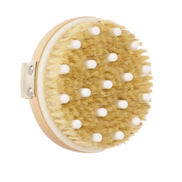 Daily Concepts Detox Massaging Massage Dry Brush Skincare Health Detoxification - Picture 2 of 8